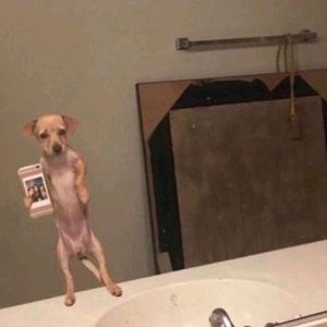 Meet your Posher, Xavier